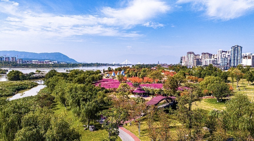步入公園，仿佛走進(jìn)“色彩的世界”。王淦攝（資料圖片）