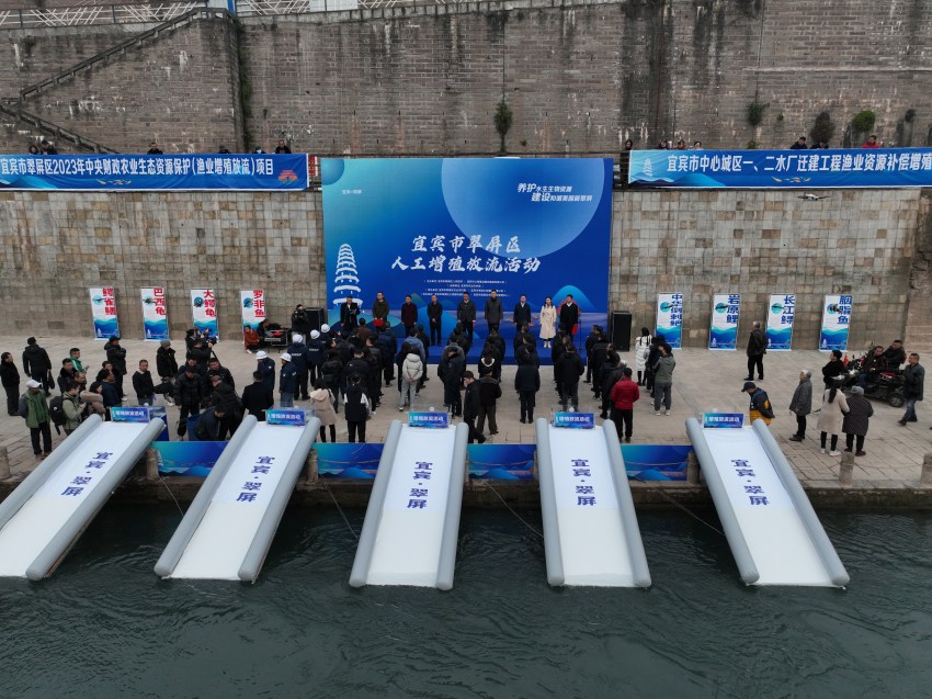 放流現(xiàn)場(chǎng)。宜賓市廣播電視臺(tái)供圖