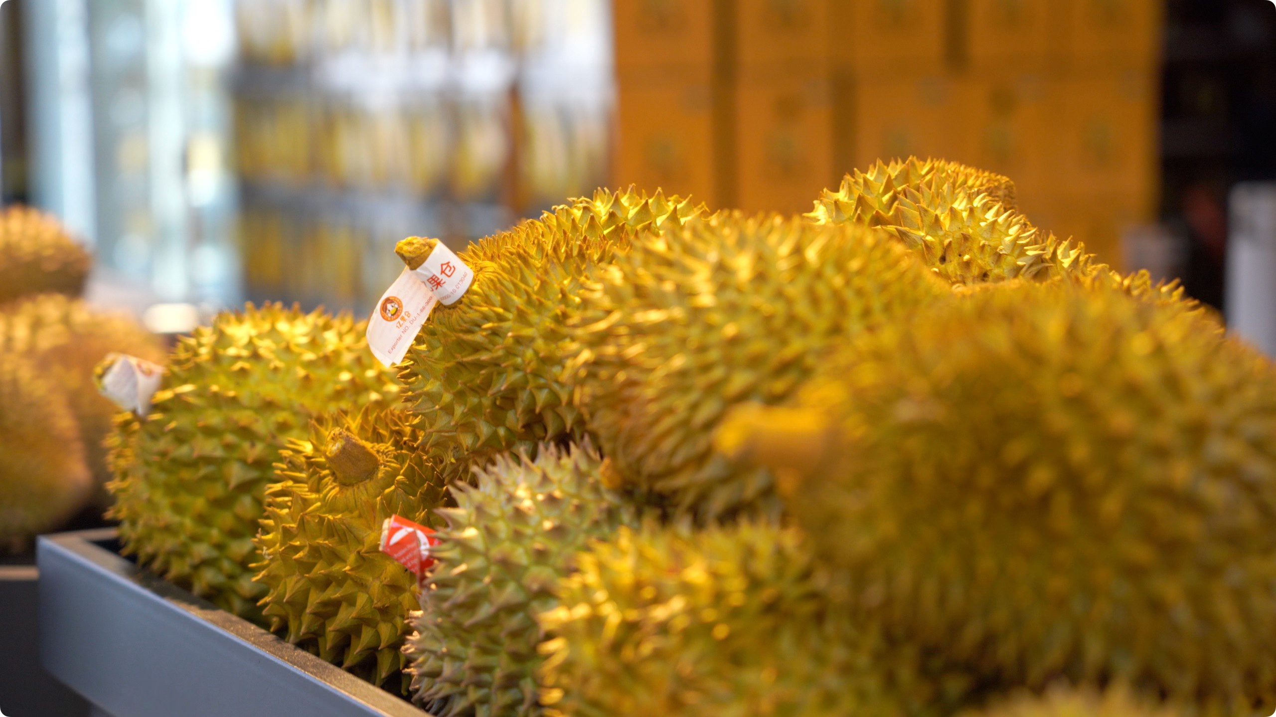 5月初，人民網(wǎng)記者申佳平攝