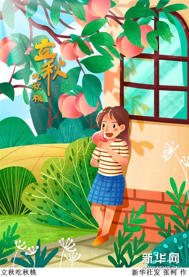 （圖表·插畫(huà)）［二十四節(jié)氣·立秋］立秋吃秋桃